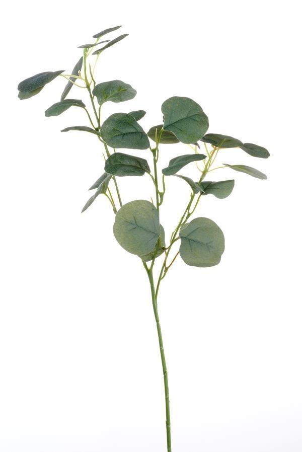 MONEY LEAF SPRAY X3 60 CM FROSTED *1/24*
