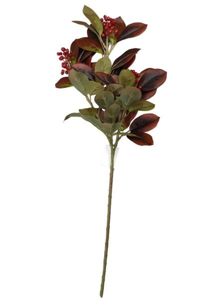 FOTHIGNA SPRAY X3 W/BERRY 75CM