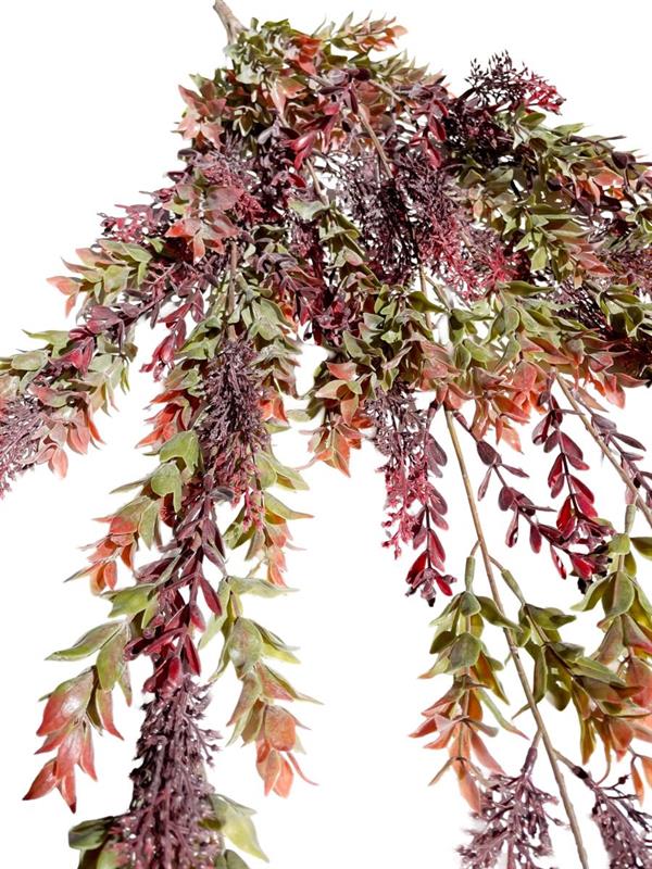 TEA LEAF BUSH VINE BURGUNDY *1/12*