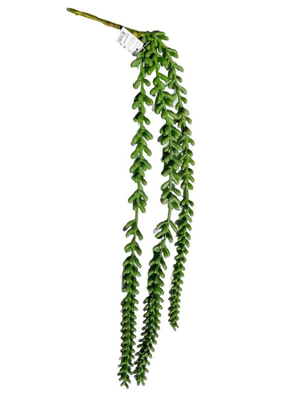 60CM MINI SEDUM SUCCULENT HANG'G COL.ASSORTITI
