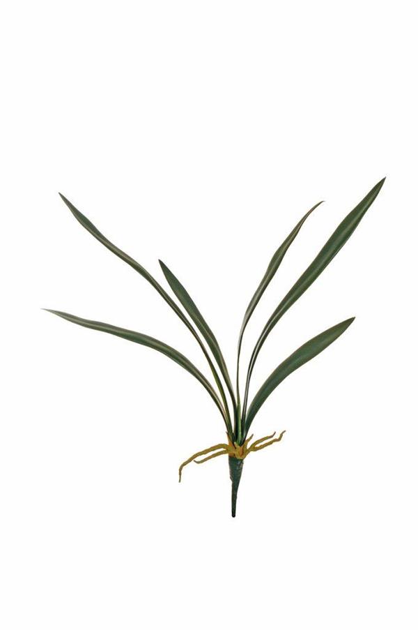 CYMBIDIUM ORCHID REAL TOUCH LEAVES X6 W/ROOTS,57CM.GREEN *1/36*