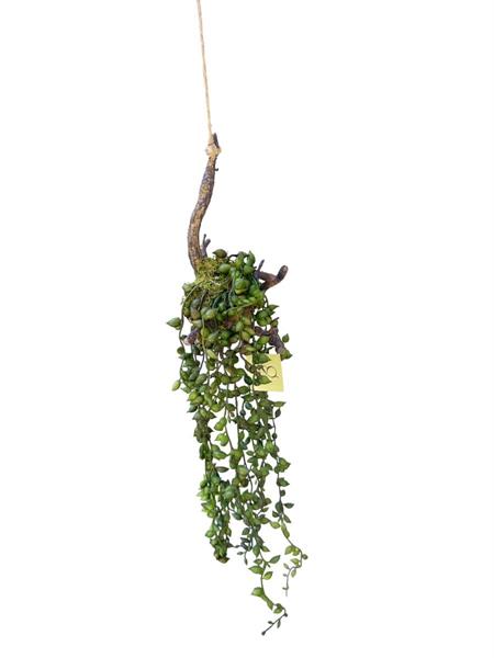 PEARL SUCCULENT HANGING ROOT DECORATION