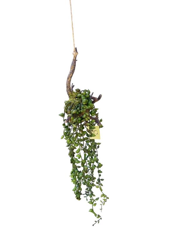 PEARL SUCCULENT HANGING ROOT DECORATION