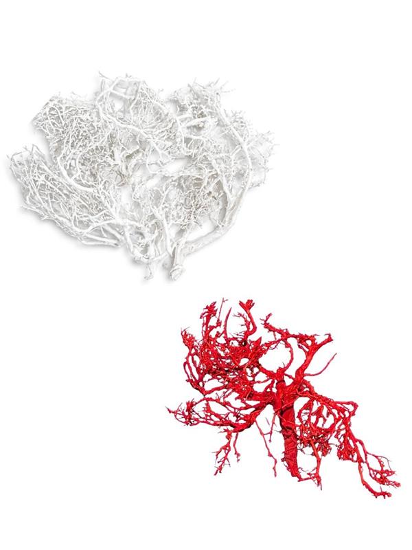 DRY BUSH 100 GR. CORALLO