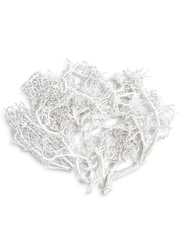 DRY BUSH 100 GR. CORALLO BIANCO