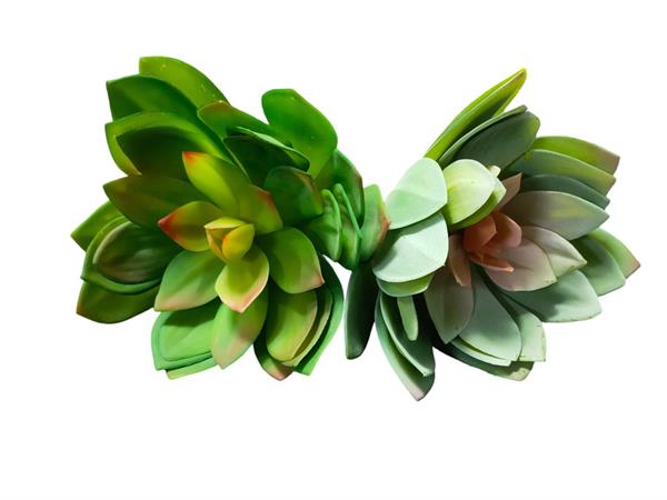 GIANT PLASTIC ECHEVERIA D.32 H.22CM
