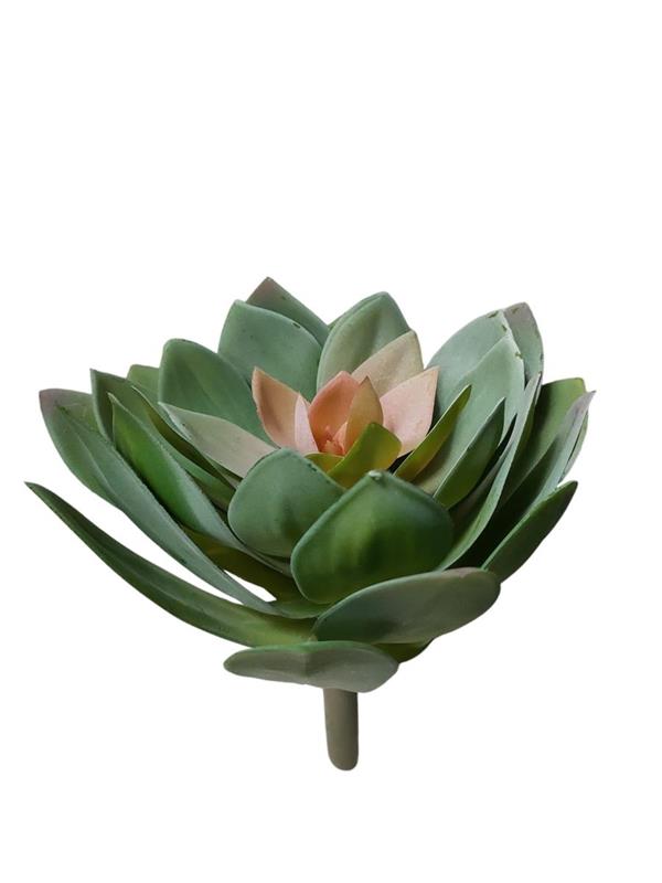 GIANT PLASTIC ECHEVERIA D.32 H.22CM GREEN PINK 80-344342