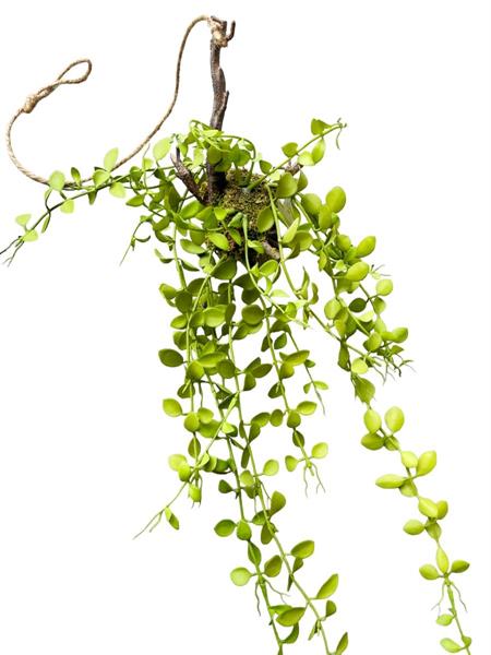 OVAL LEAF HANGING ROTT DECORATION