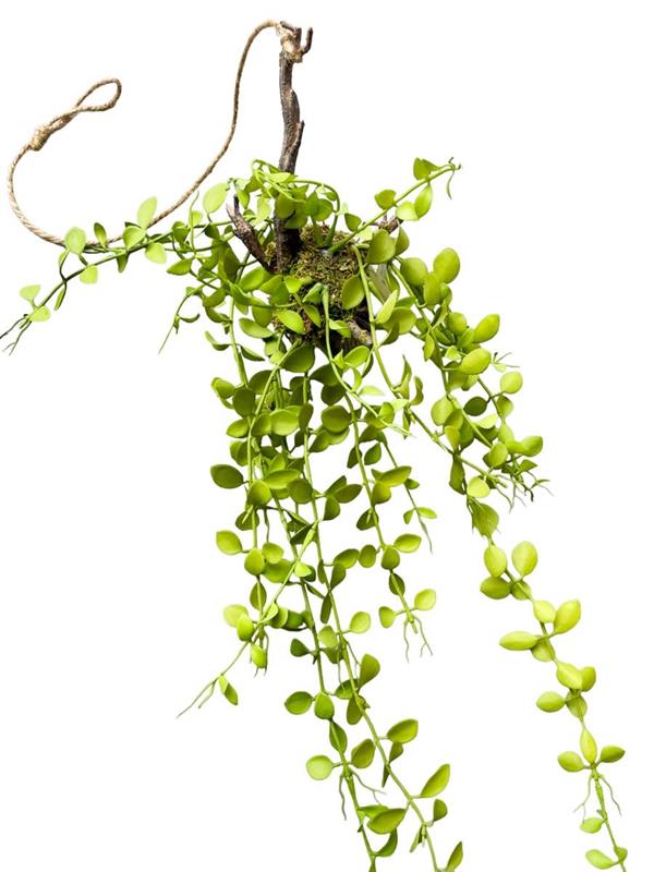 OVAL LEAF HANGING ROTT DECORATION