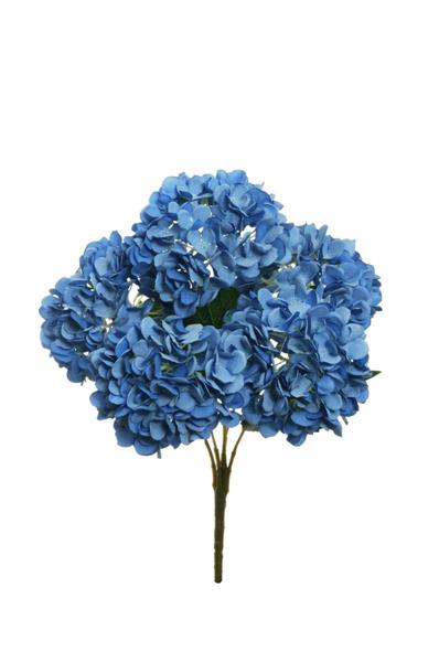JULIET HYDRANGEA BUSH X5, 50 CM.