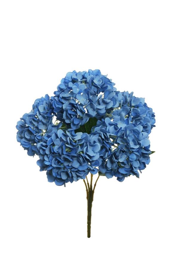 JULIET HYDRANGEA BUSH X5, 50 CM.