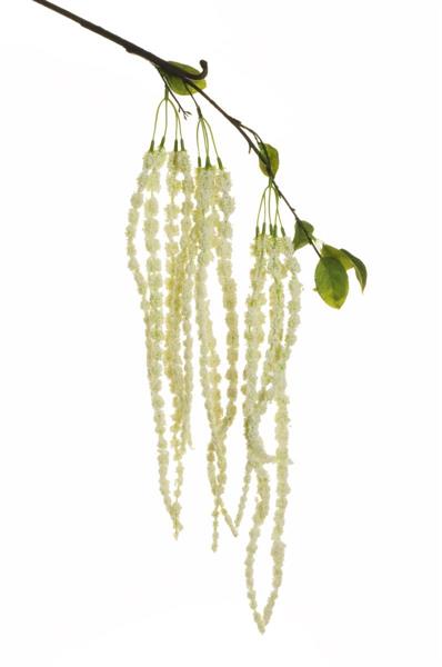 AMARANTHUS HANGING BRANCH W/13 FLOCKED FOAM 114 CM *12/144*