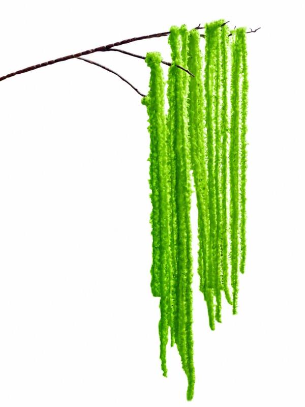 122CM RAMO AMARANTHUS *1/24* GREEN 27547