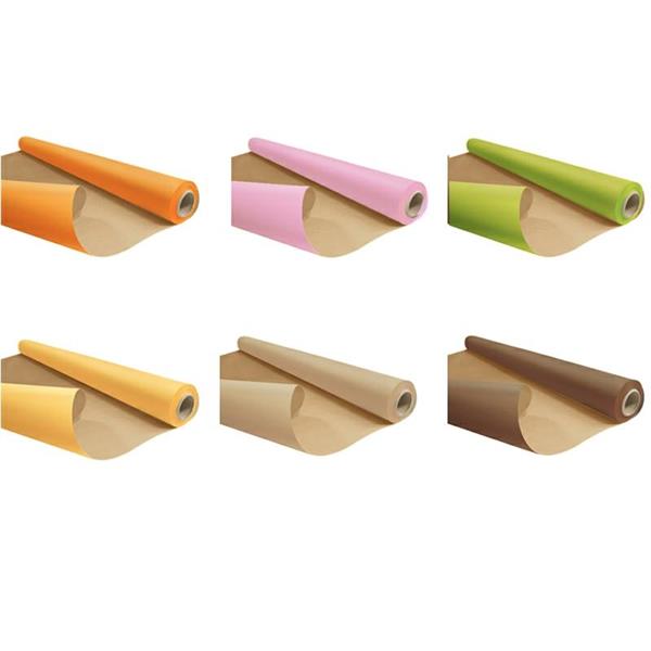 BOBINA CARTA 79 CM X 25 MT *1/6*