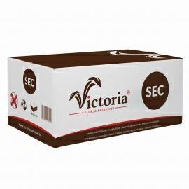 VICTORIA DRY MATT.23X11X H.8 CT DA