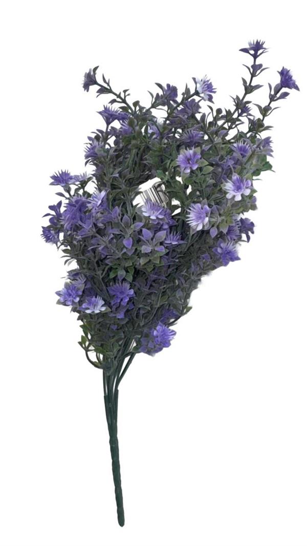 OREGANO BUSH X6-W FLWS, 34 CM.POLYBAG LAVENDER (80-236661_LV)