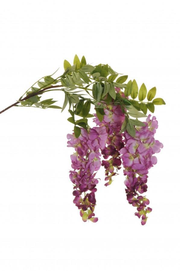 WIST. HANGING BRANCH W-3 L.24CM LVS 105CM GLICINE 80-358103_TTFU