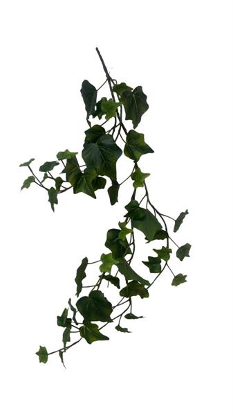 IVY WREATH GREEN D.25CM *1/12/96* (15060019-01)