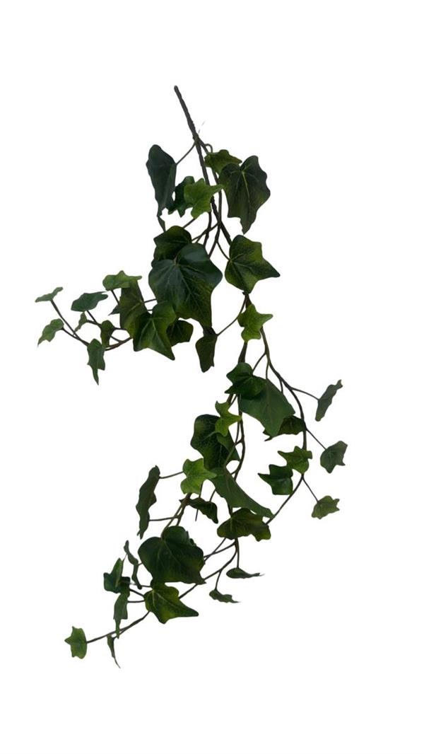 IVY WREATH GREEN D.25CM *1/12/96* (15060019-01)