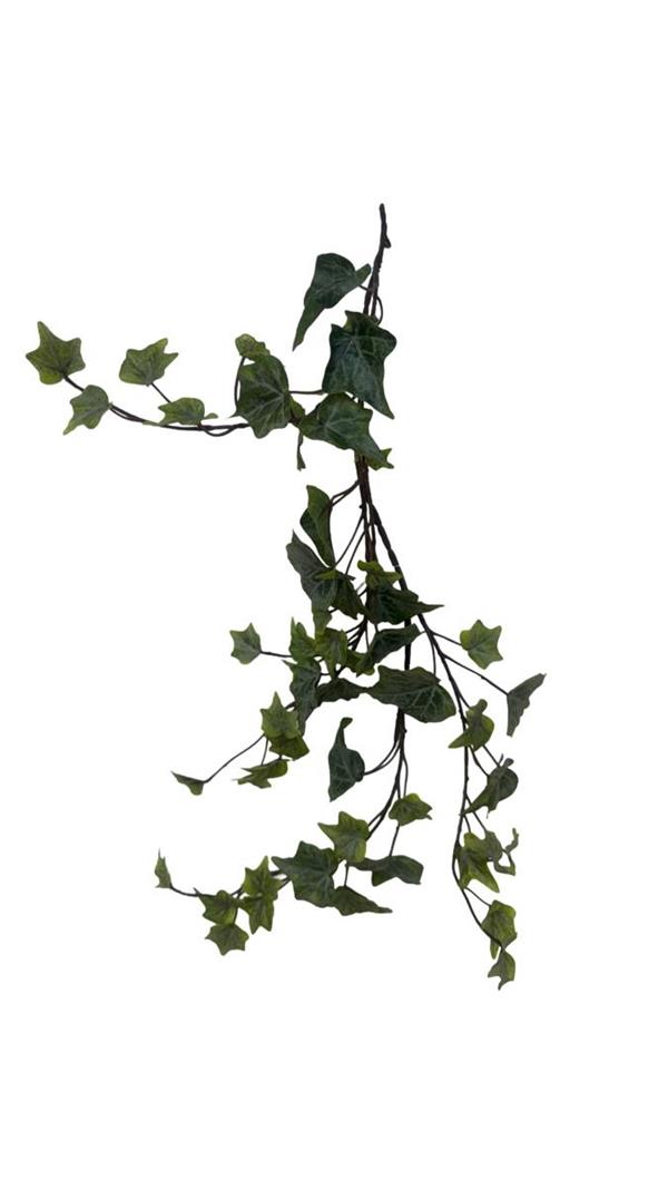 IVY WREATH FROSTED D.25CM *1/12/96* (15060019-27)