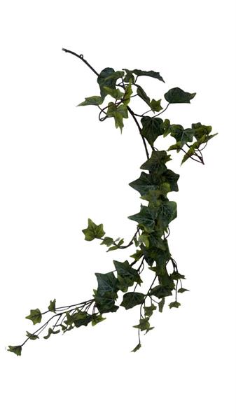 IVY WREATH FROSTED D.30CM *1/6/72* (15060020-27)