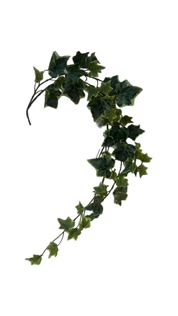 IVY WREATH VARIEGATED D.25CM *1/12/96* (15060019-15)