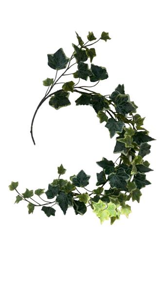 IVY WREATH VARIEGATED D.30CM *1/6/72* (15060020-15)