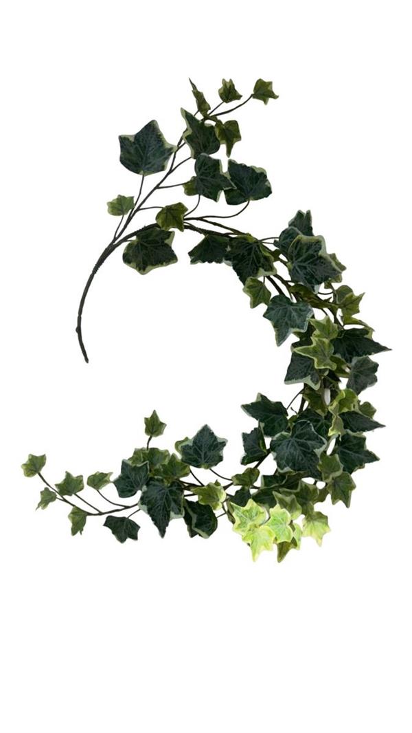 IVY WREATH VARIEGATED D.30CM *1/6/72* (15060020-15)