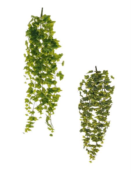 IVY HANGING BUSH X8 W/248 REAL TOUCH *1/6*