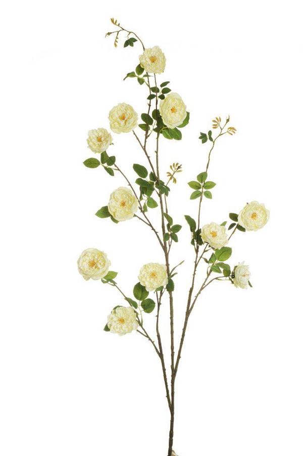 MARGOT ROSE LONG SPRAY, 151 CM. CREAM 80-426529