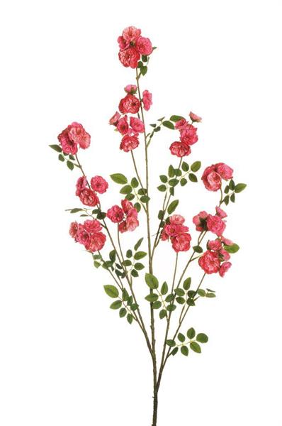 DOGWOOD ROSE LONG SPRAY,143 CM