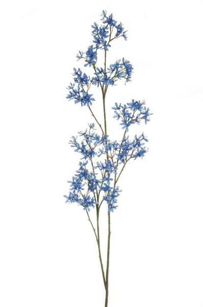 PETREA VOLUBILIS LONG BRANCH, 154 CM *1/12*