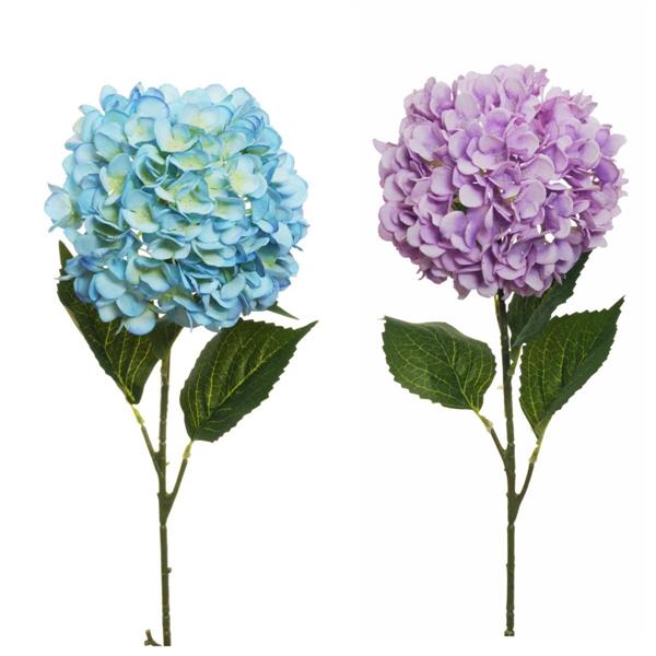 GIANT JULIET HYDRANGEA W/4 LVS
