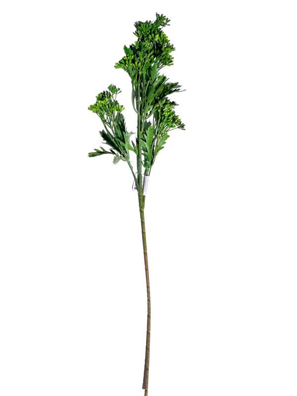 60CM MINI GYPSO SPRAY GREEN (09558) *1/36*