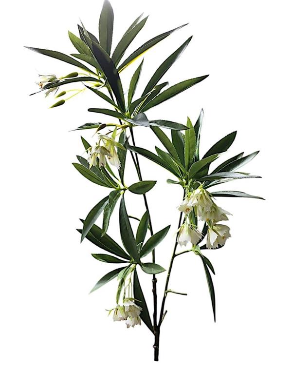 GREEN BRANCH W/FLOWERS H.90 CM