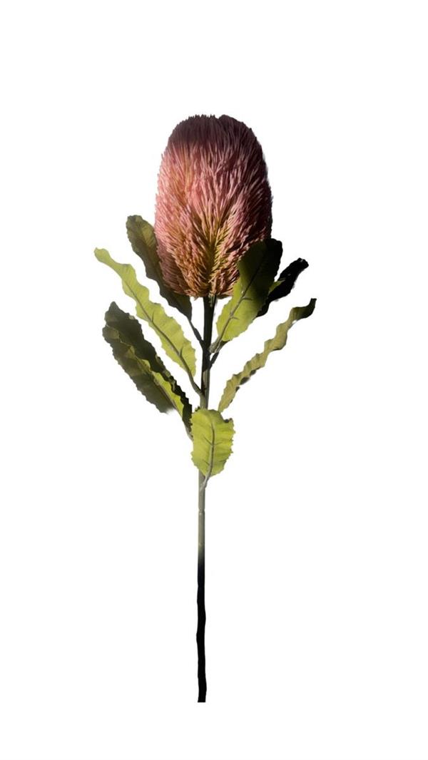 SAFARI BANKSIA 60CM MAUVE