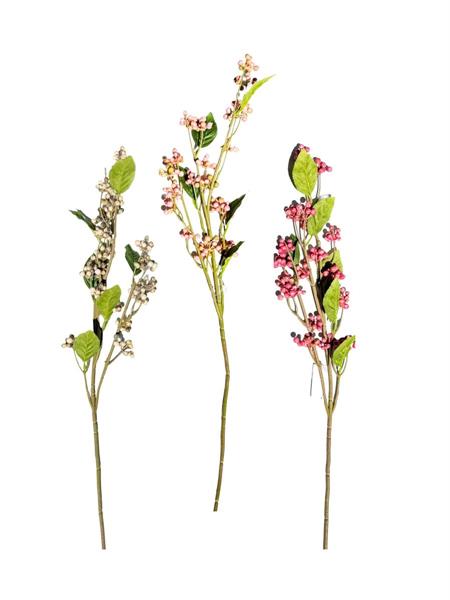 SAFARI BERRY 70CM