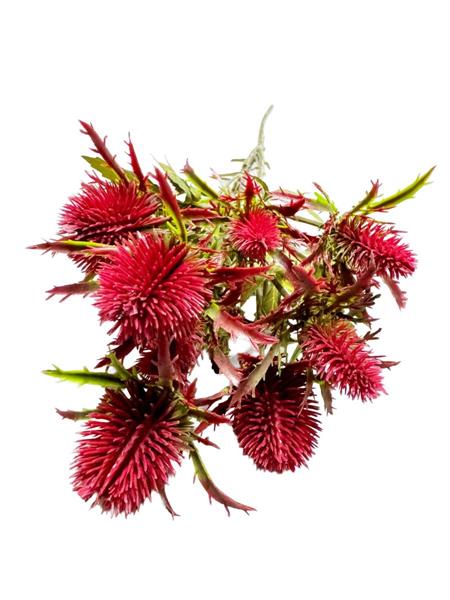 68CM SEA HOLLY SPRAY