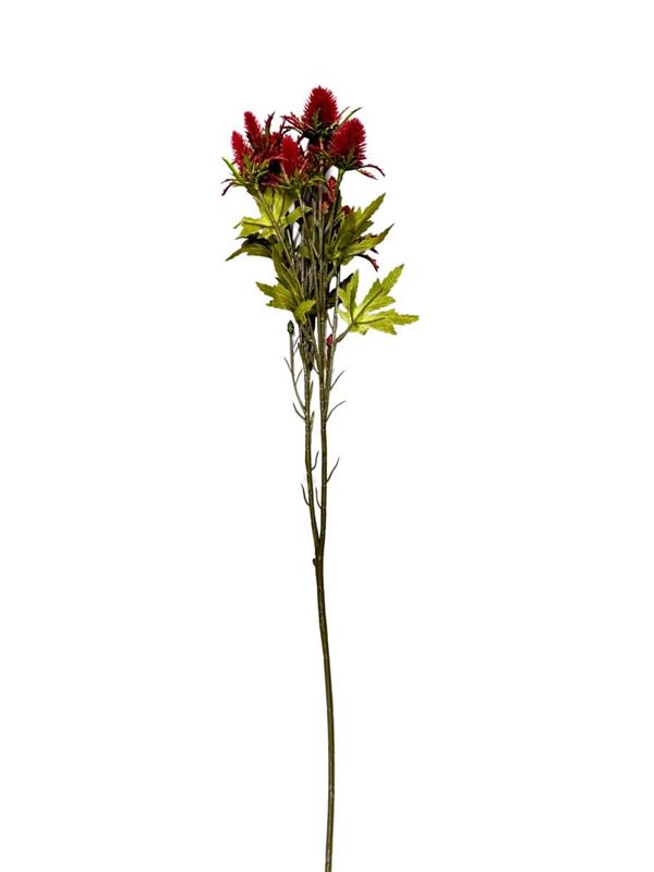 68CM SEA HOLLY SPRAY BORDEAUX