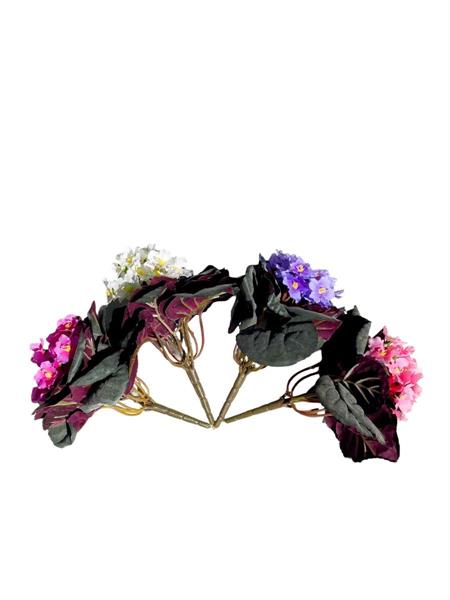 PAULIA BUSH 20CM WITH FROSTED LVS ASSORTED