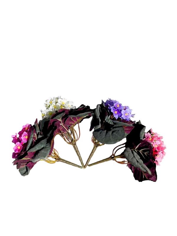 PAULIA BUSH 20CM WITH FROSTED LVS ASSORTED
