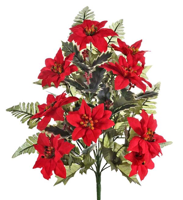BUSH FRONTALE POINSETTIA-HOLLY RED *1/6/60*