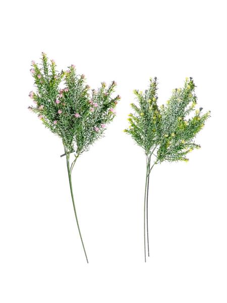 ROSMARY X3 W-FLRS