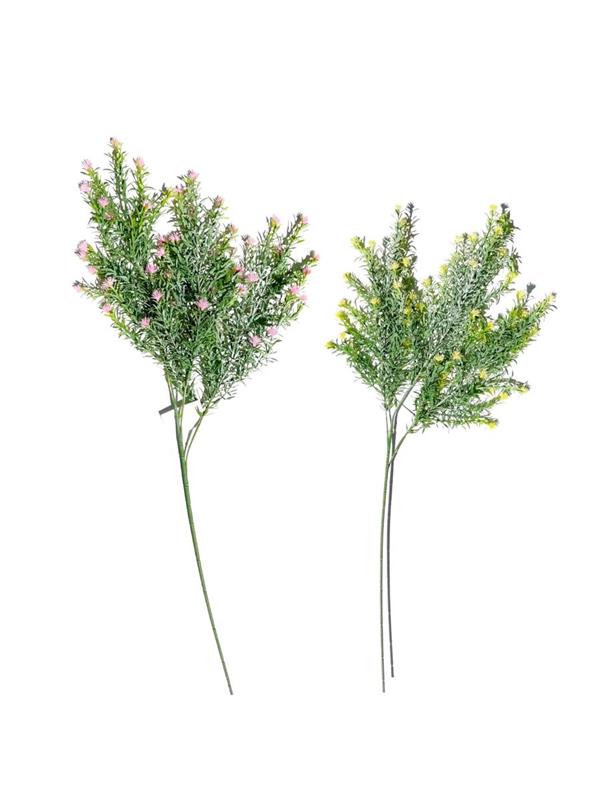 ROSMARY X3 W-FLRS