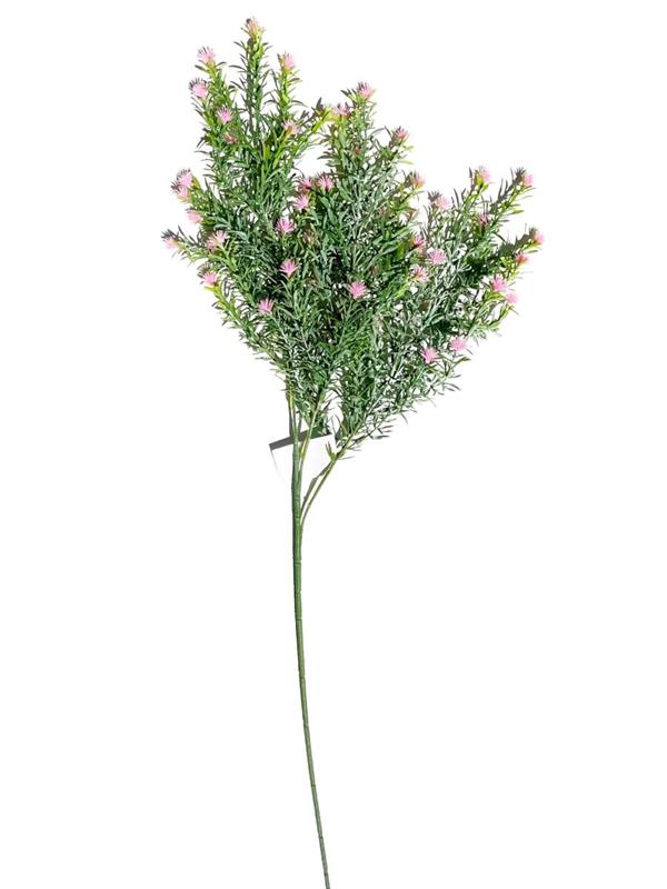 ROSMARY X3 W-FLRS LT PINK *1/12*