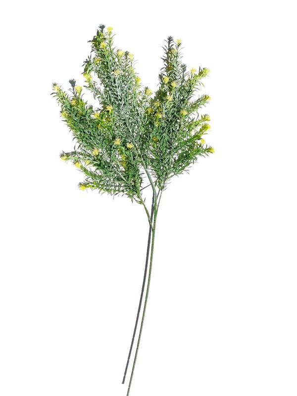 ROSMARY X3 W-FLRS YELLOW *1/12*
