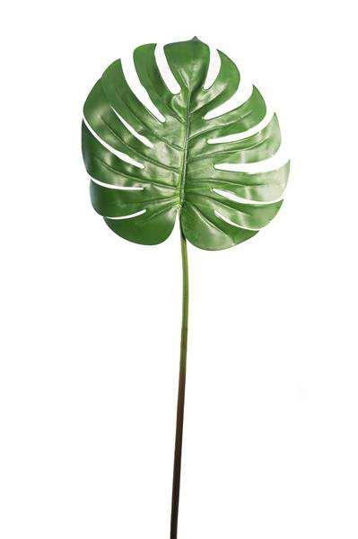 LG. MONSTER LEAF H.86 CM FOGLIA 30X30 CM GREEN *1/24/240*