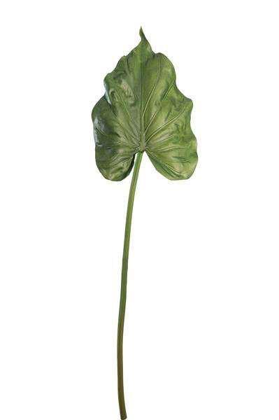 PU CALLA LEAF SINGLE *1/12/144* GREEN