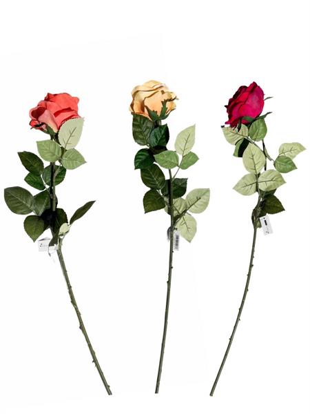 COLOMBIA ROSE SPRAY