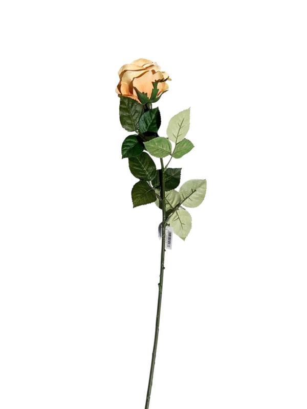 COLOMBIA ROSE SPRAY ORANGE